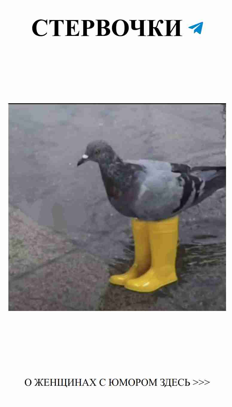 Когда любовь смеется, даже сердце шутит