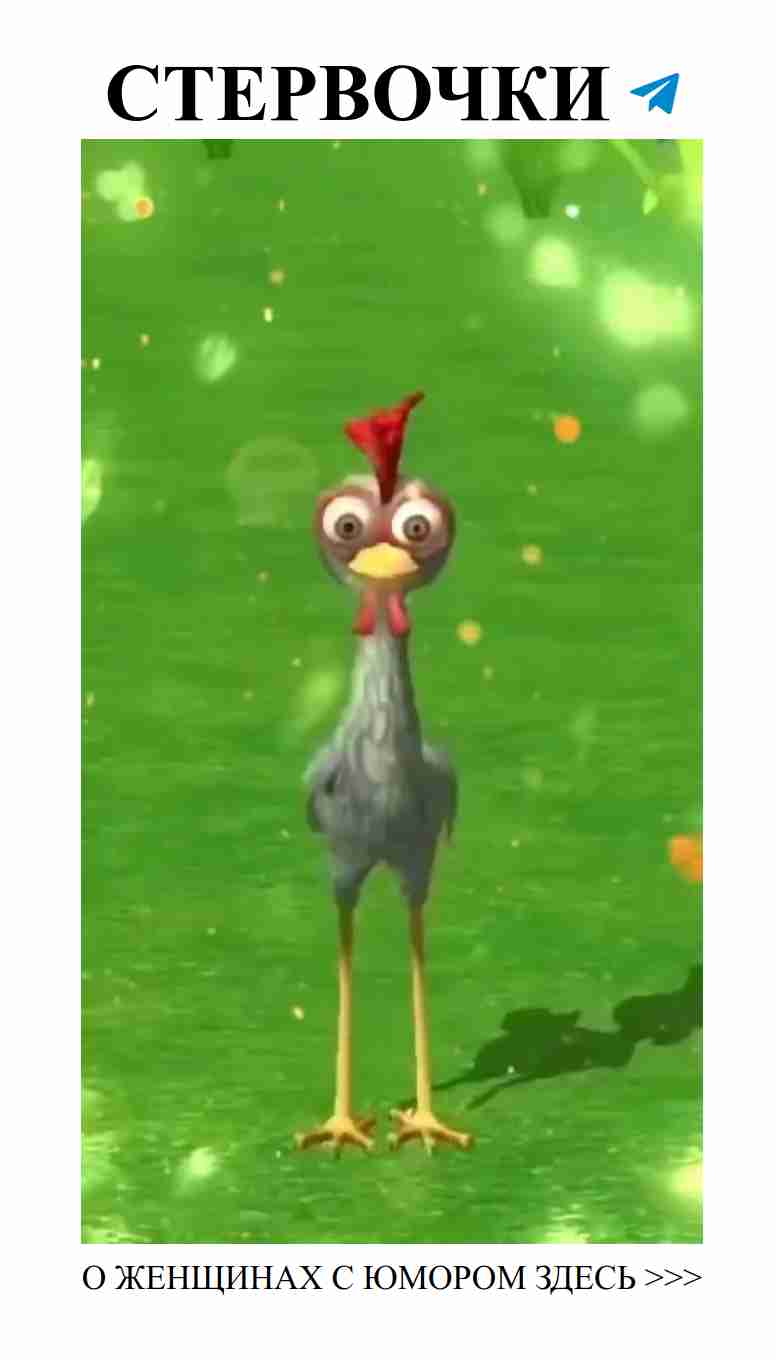 Смех и любовь: женский юмор, который согревает душу