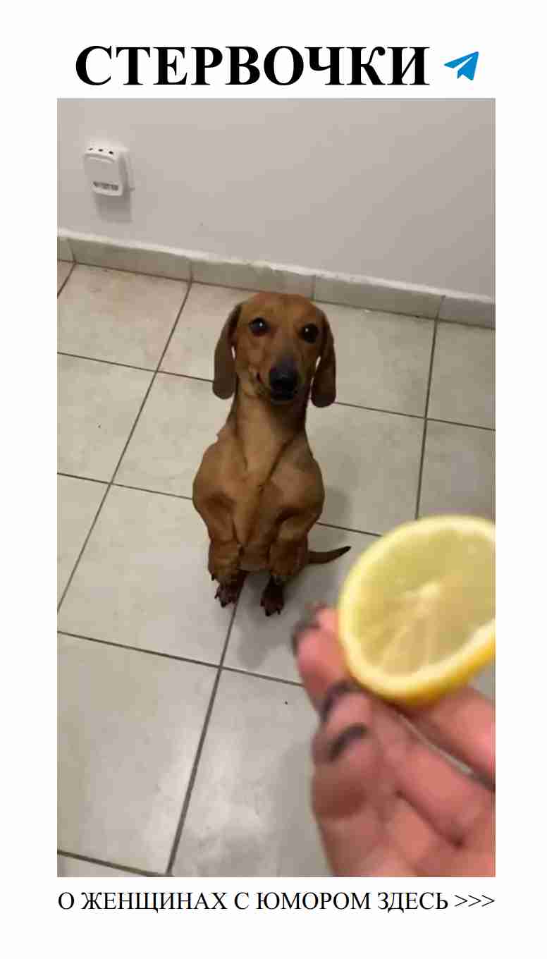 Любовь и смех: Смешные моменты для хорошего настроения