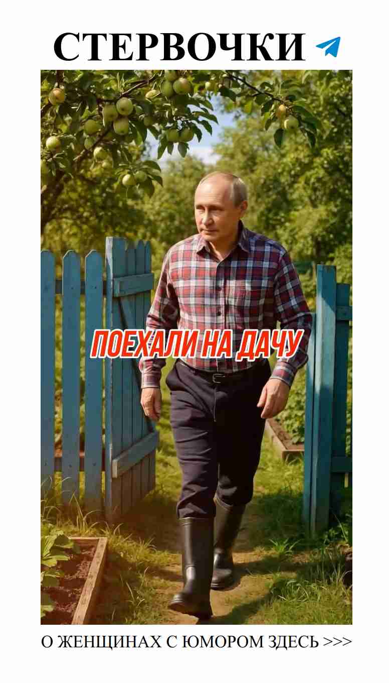 Летние забавы: как провести выходные с любимым на даче