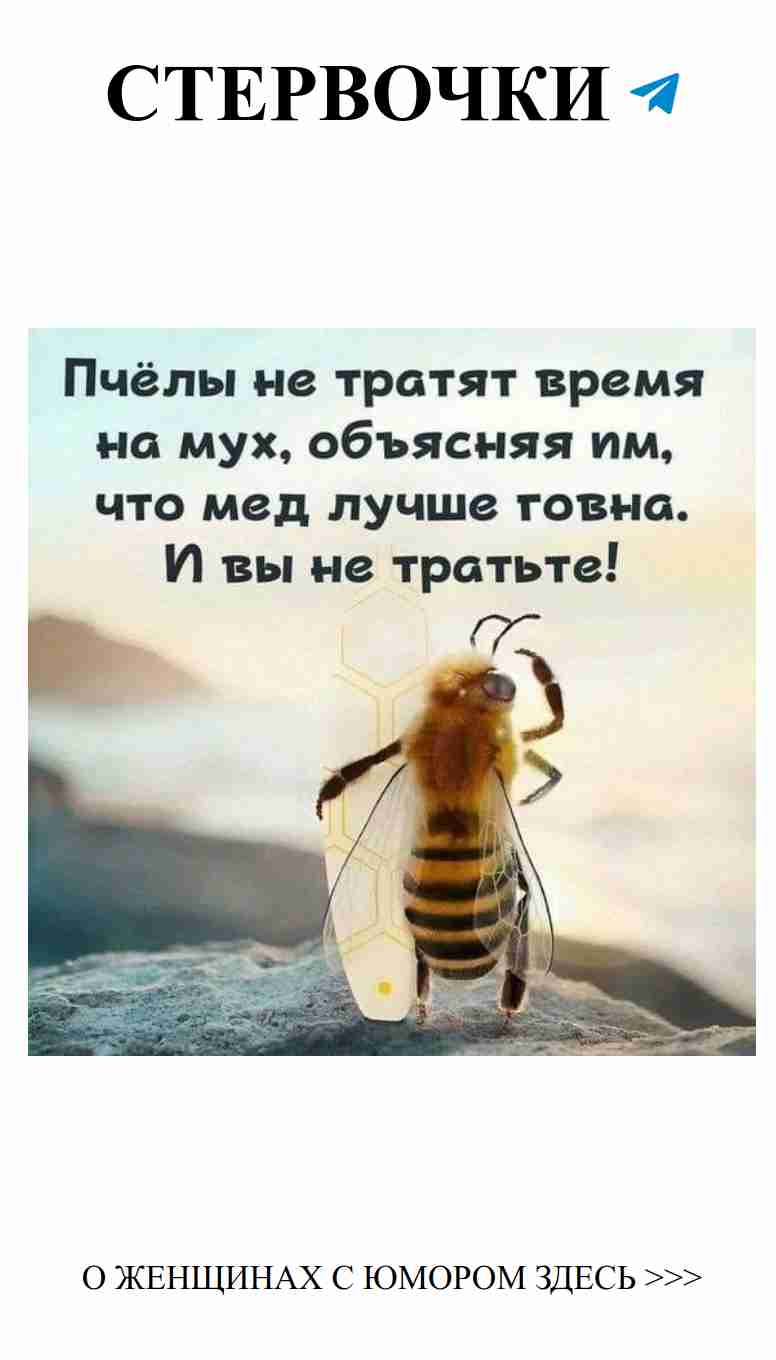 Любовь и смешные моменты: лучший женский юмор о любви Любовь и смешные моменты: лучший женский юмор о любви
