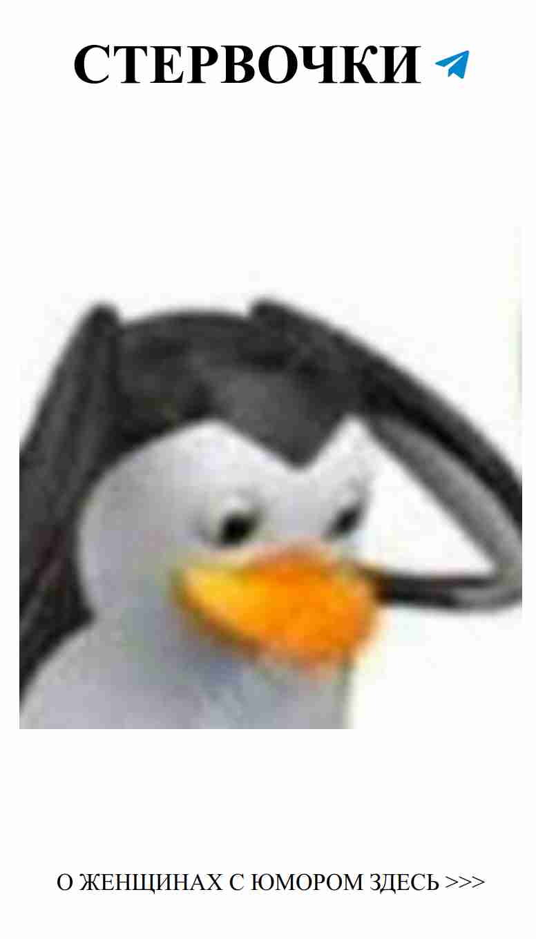 Помоги этому пингвину найти любовь с юмором Помоги этому пингвину найти любовь с юмором
