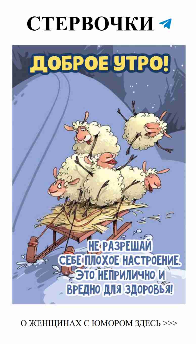 Любовь с юмором: смешные истории из жизни женщин Любовь с юмором: смешные истории из жизни женщин