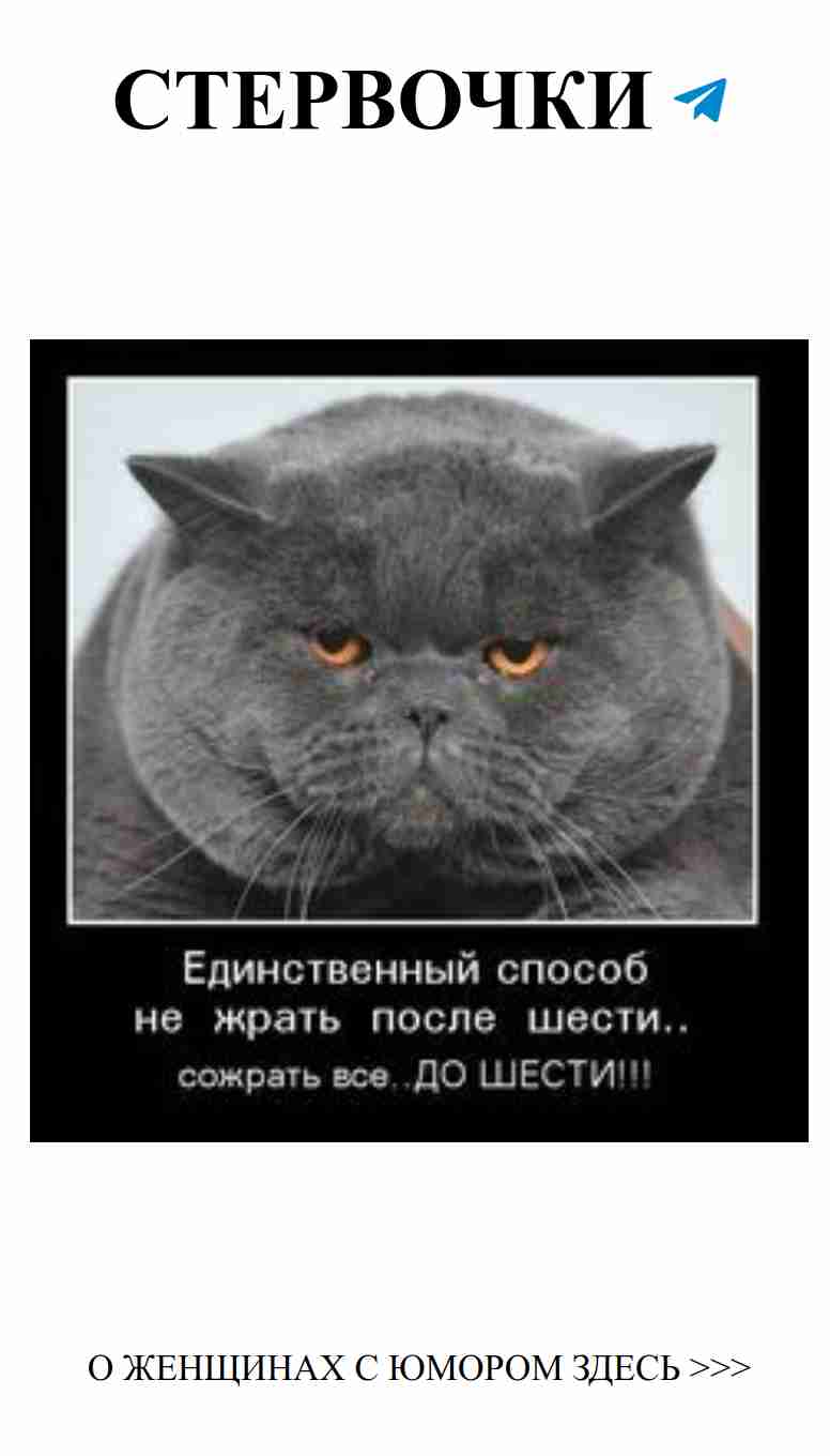 Юмор о любви: 30 демотиваторов, которые заставят улыбнуться Юмор о любви: 30 демотиваторов, которые заставят улыбнуться