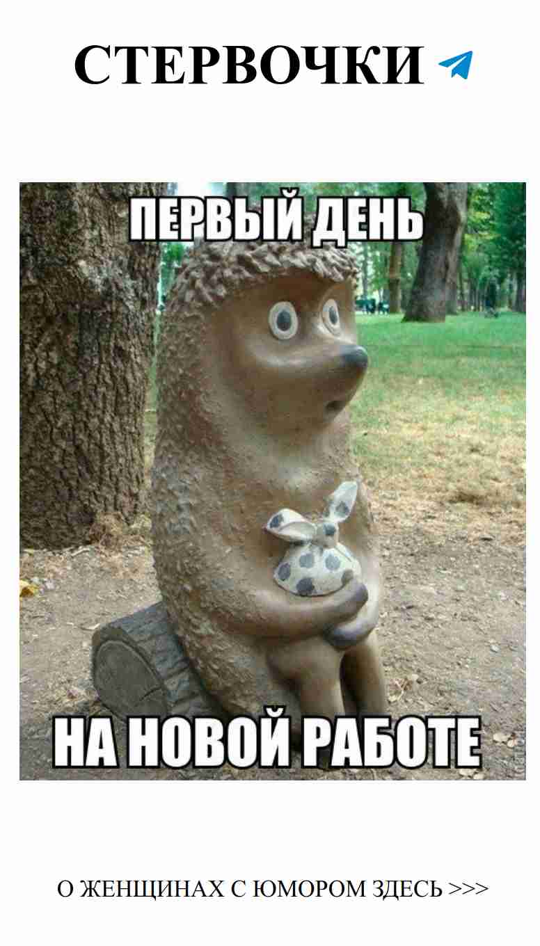 Первый день на новой работе: любовь с первого взгляда Первый день на новой работе: любовь с первого взгляда