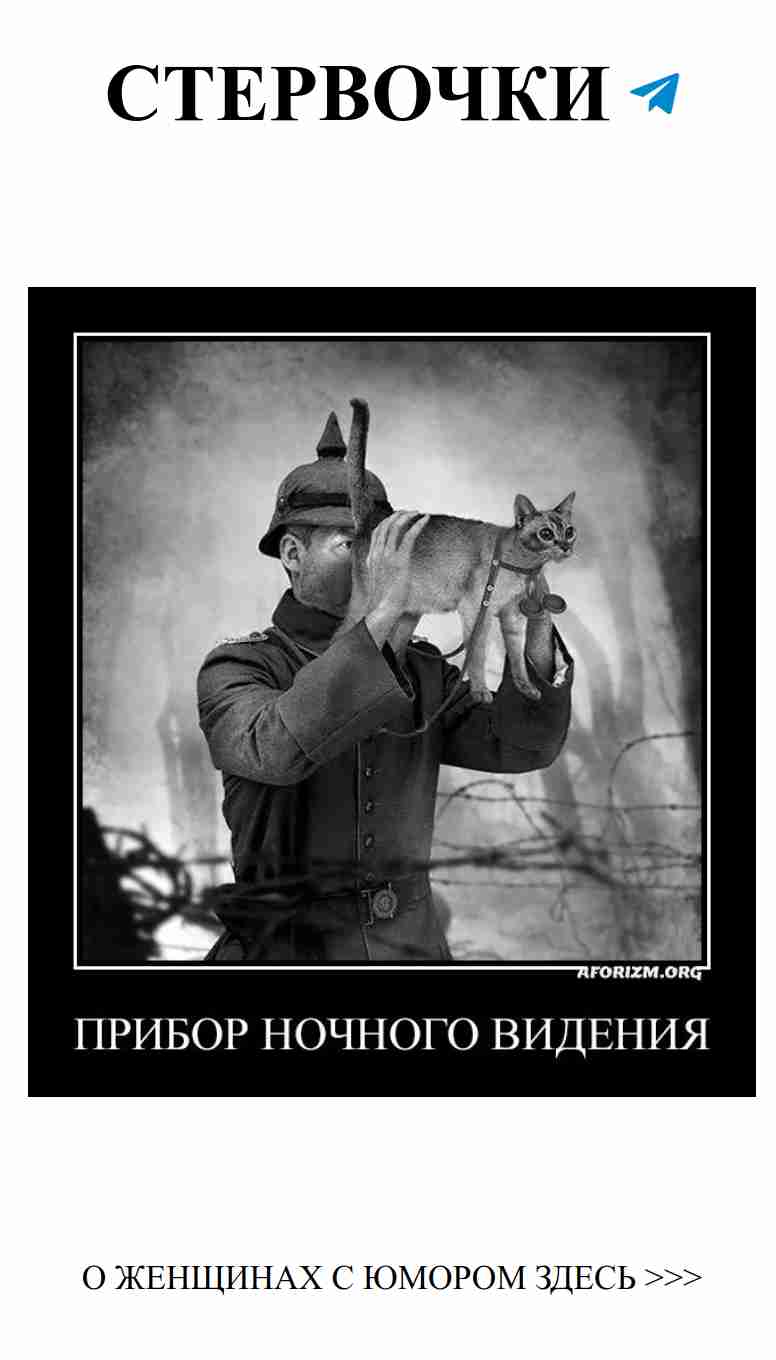 Когда любовь больше напоминает анекдот о медведях