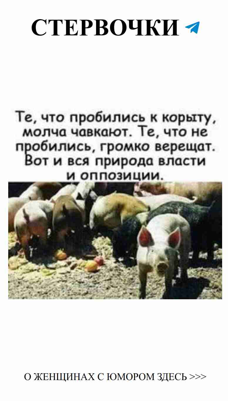 Любовный юмор: шизофрения на грани реальности и смеха