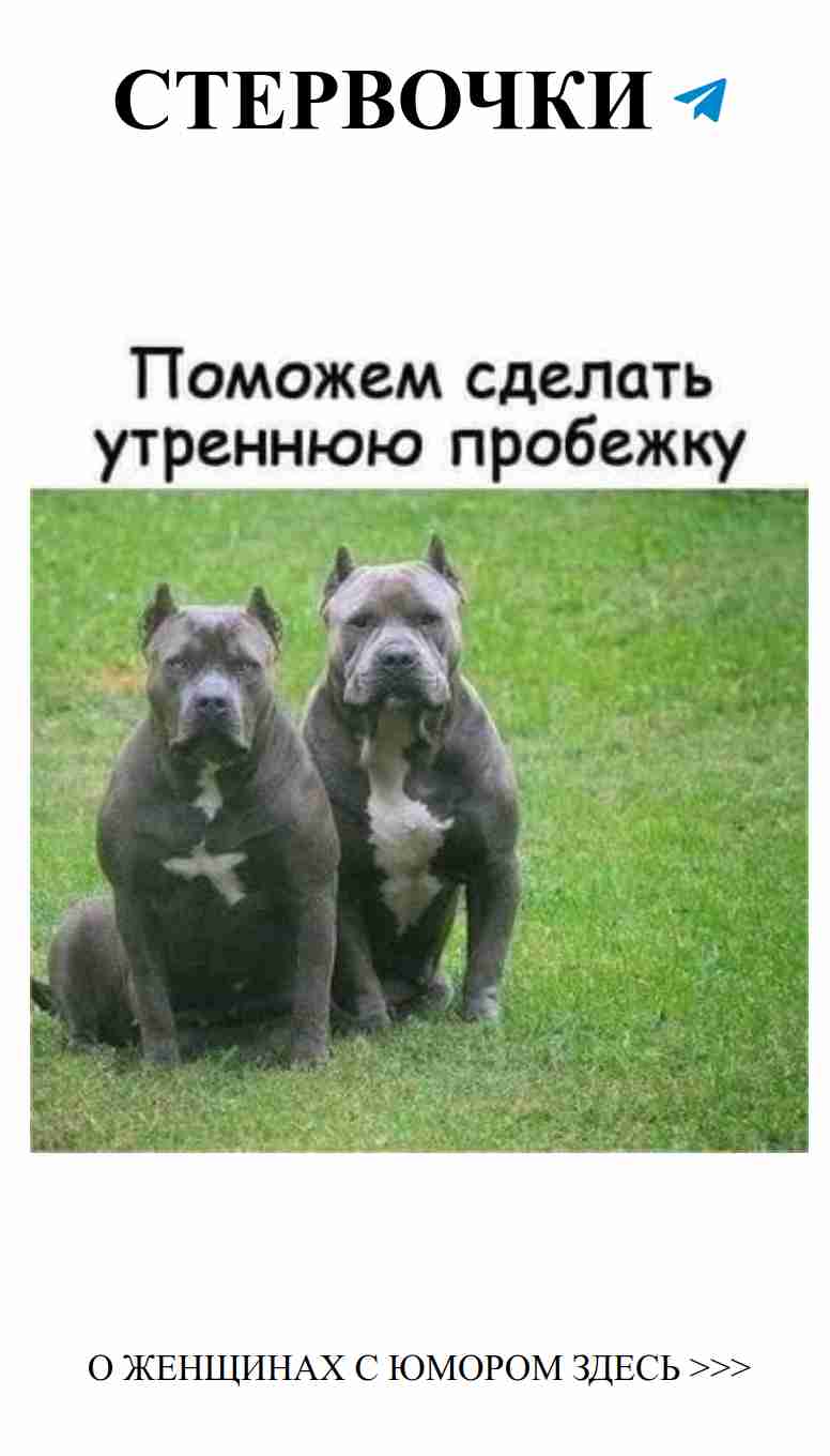 Смех и любовь: утренние забавы для активных девушек