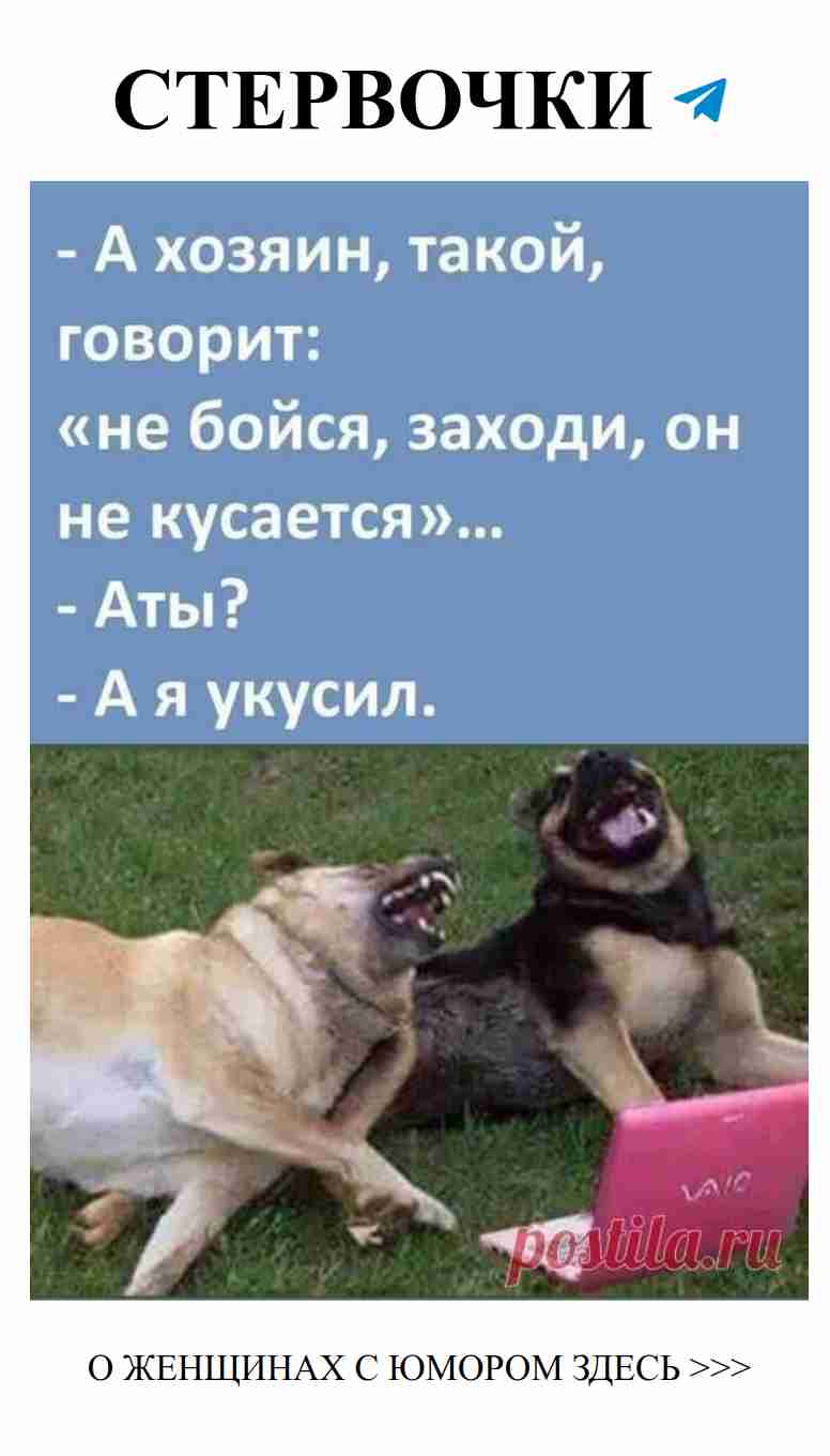 Смешные истории о любви, которые заставят вас улыбнуться Смешные истории о любви, которые заставят вас улыбнуться