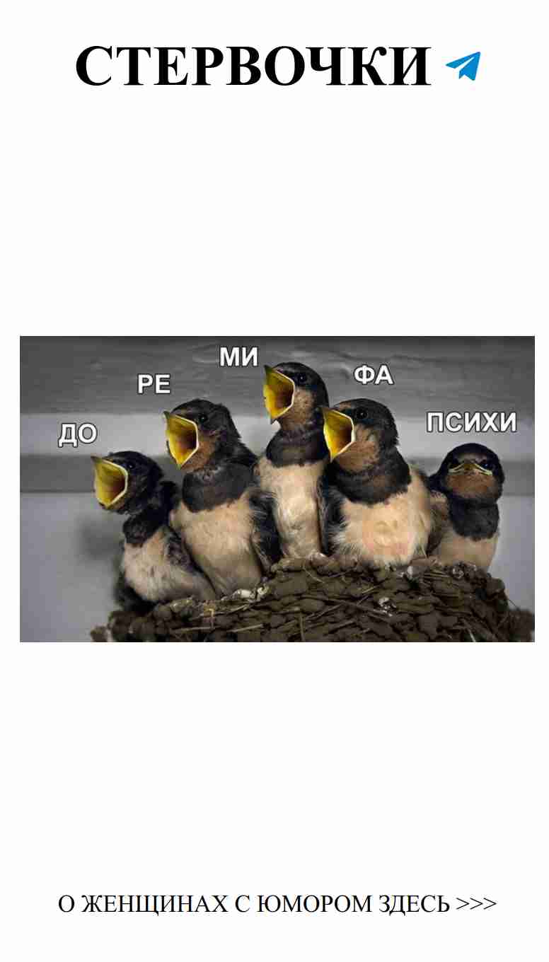 Невероятные смешные истории о любви для поднятия настроения Невероятные смешные истории о любви для поднятия настроения