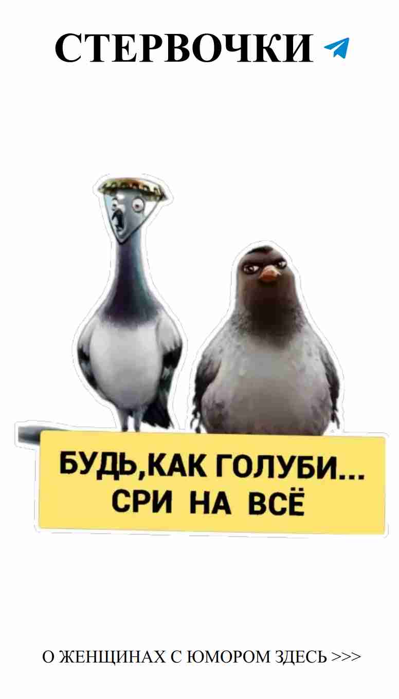 Когда любовь радует, юмор становится нашим союзником