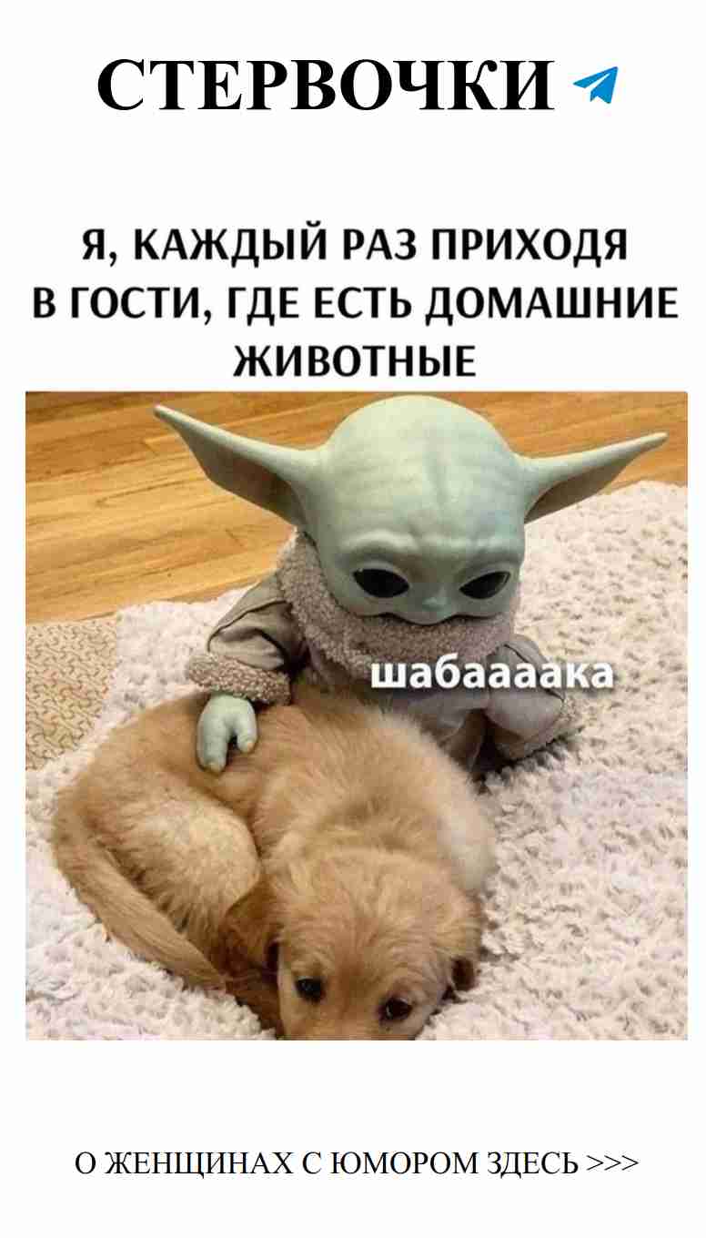 Женский юмор о любви: смех сквозь слёзы и радости Женский юмор о любви: смех сквозь слёзы и радости