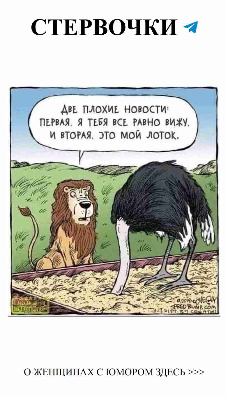 Смех и любовь: женский юмор на все случаи жизни