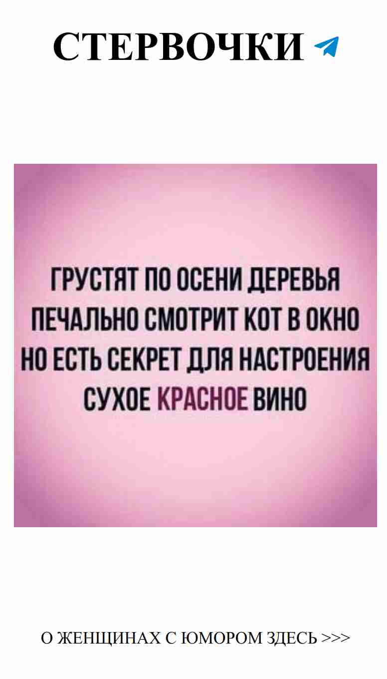 Юмор о любви: что важнее, чувства или шоколад? Юмор о любви: что важнее, чувства или шоколад?