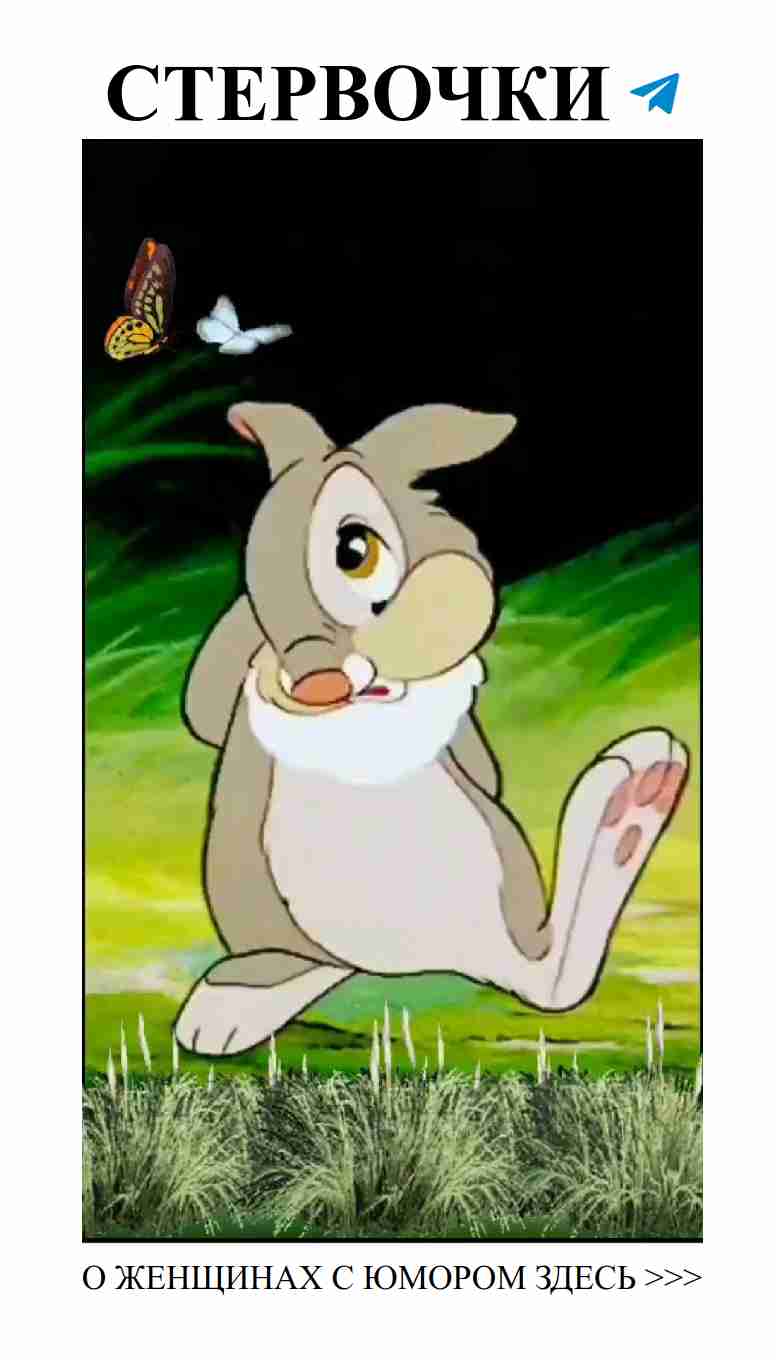 Смешной взгляд на любовь и отношенья для девушек Смешной взгляд на любовь и отношенья для девушек