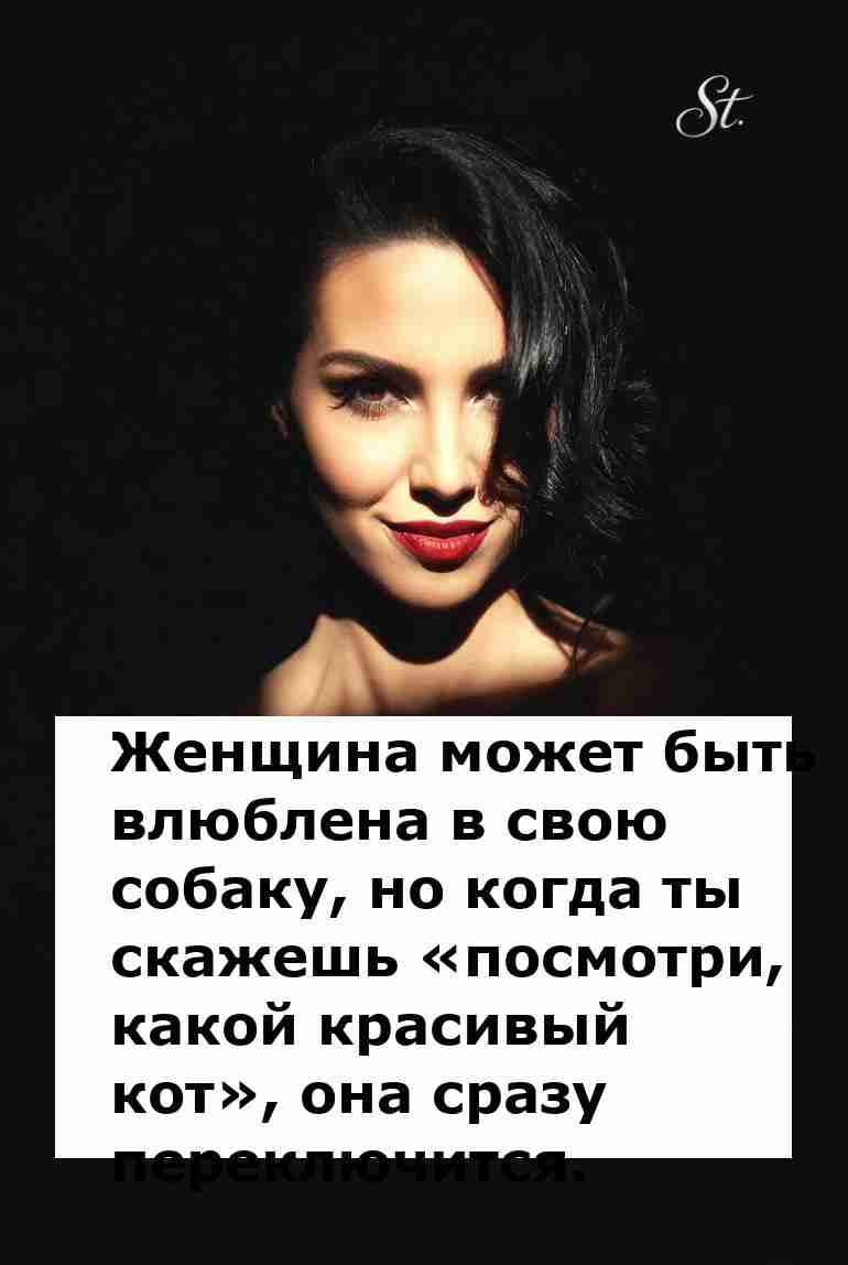 Женская логика в отношениях с мужчинами и собаками